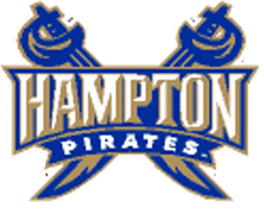 Hampton Pirates 2002-2006 Secondary Logo diy iron on heat transfer
